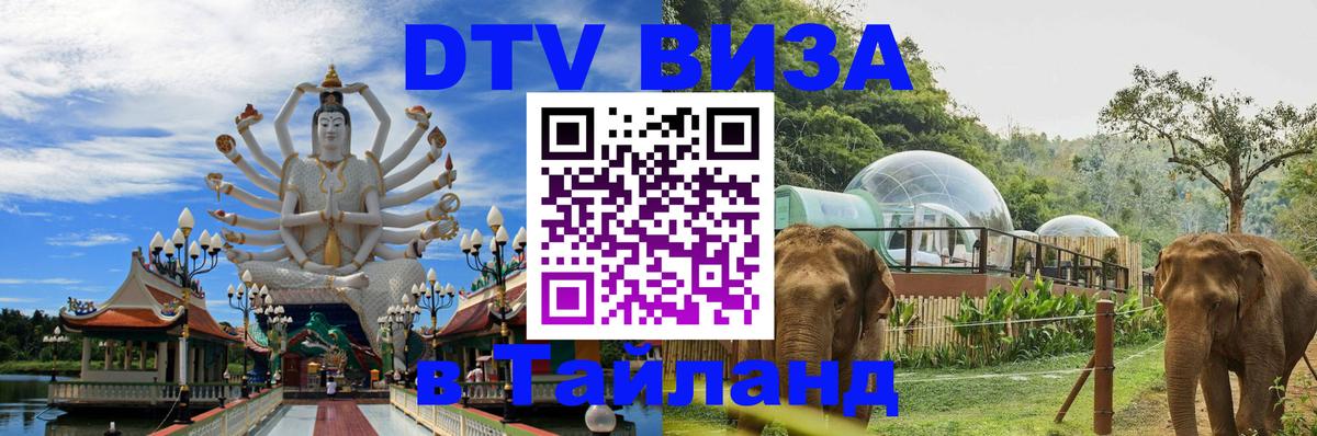 Оформление DTV визы под ключ: стоимость и тарифы, только загранпаспорт - 20.11.2025 